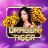 Dragon Tiger superking tablet live casino